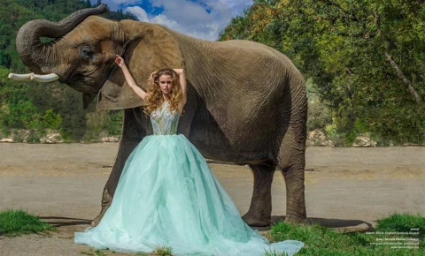 Amberleigh in a mint green embellished ball gown standing beside Valerie the African elephant, who lifts her trunk skyward against a blue Oregon sky.