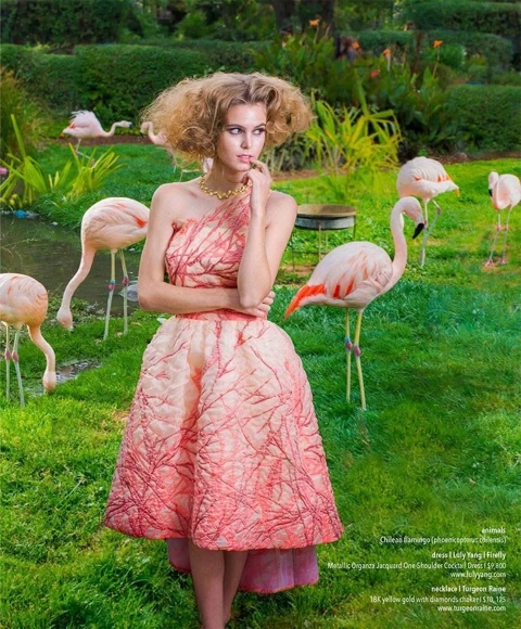 Amberleigh in a coral-pink Luly Yang one-shoulder cocktail dress in a green garden surrounded by Chilean flamingos.